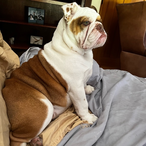 Our Baby Girl Miss Bella B - Picture 11 of 16